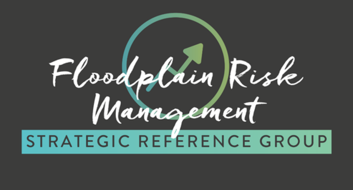 FLOODPLAIN RISK MANAGEMENT