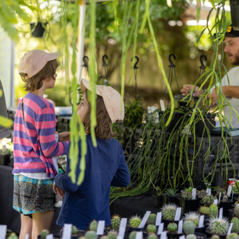 BLOOM: Wollondilly Garden Expo & Plant Fair