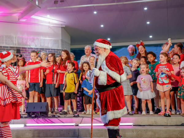 Christmas in the Gardens