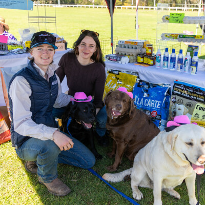 Gallery on Dilly Doggy Day Out image 5