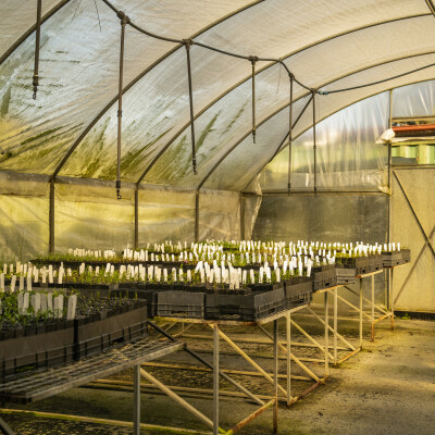 Gallery on The Robin Davies Wollondilly Community Nursery image 4