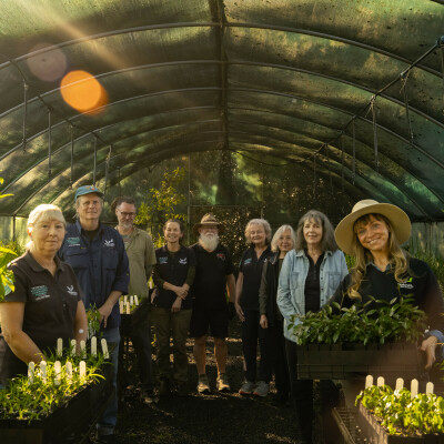 Gallery on The Robin Davies Wollondilly Community Nursery image 5