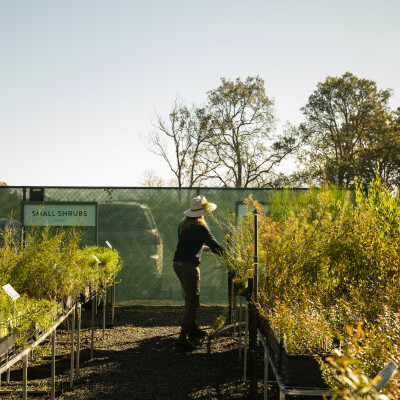 Gallery on The Robin Davies Wollondilly Community Nursery image 6