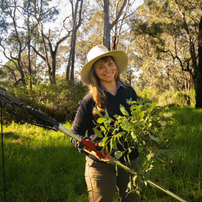 Gallery on The Robin Davies Wollondilly Community Nursery image 8
