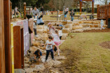 Picton Botanic Gardens 14