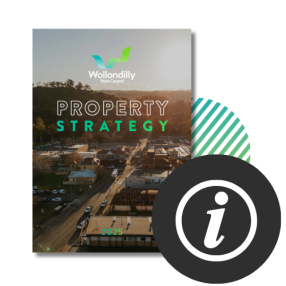 PROPERTY STRATEGY