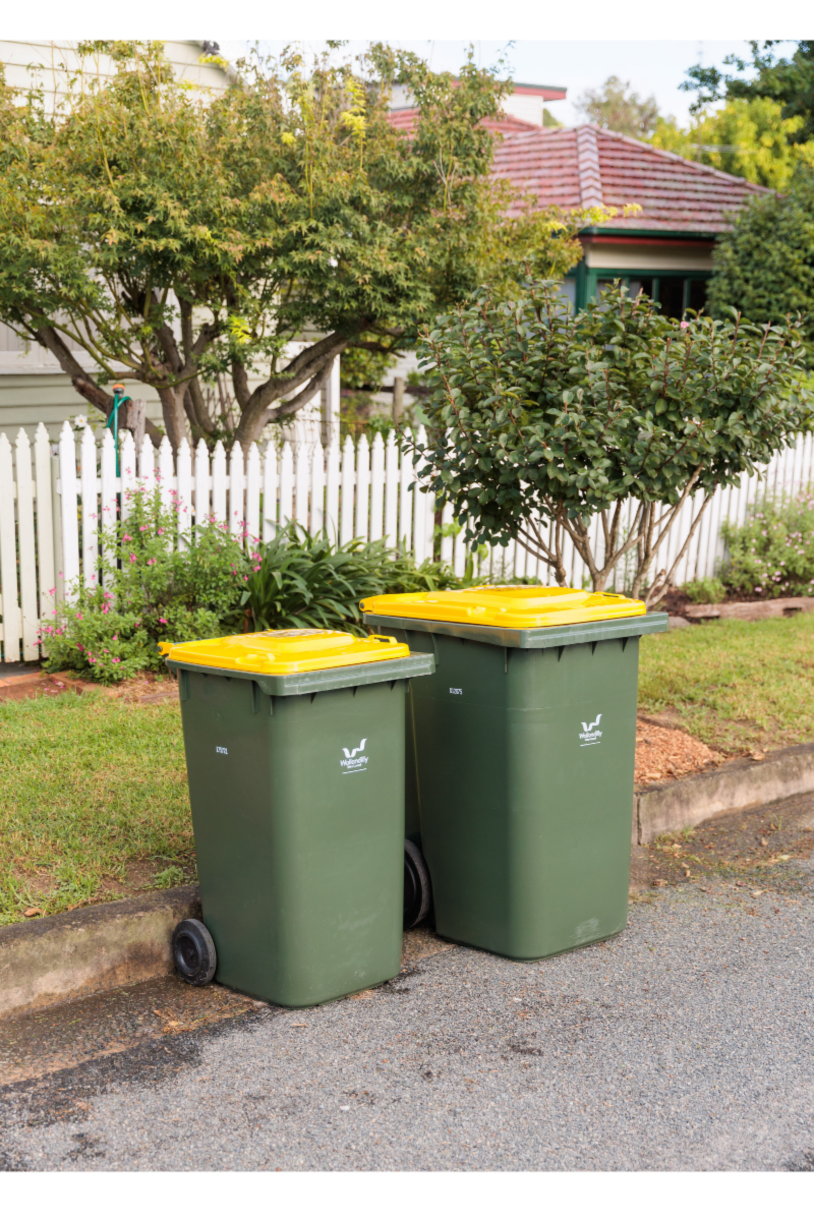 400x600 bin images yellow