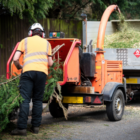 WOOD CHIPPING SERVICE