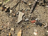 Illegal dumping Thirlmere