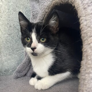 Photo of Lucy